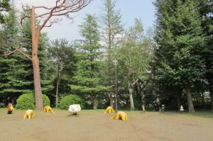 上ノ原公園の写真